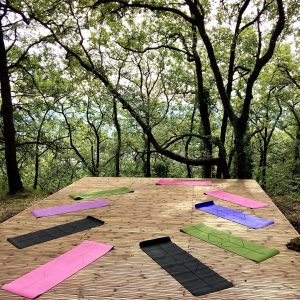 Atelier forêt Priska Yoga